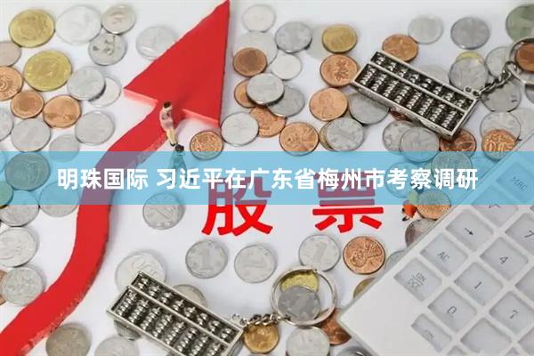 明珠国际 习近平在广东省梅州市考察调研